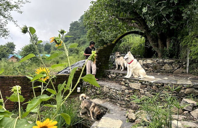 Geeli Mitti - Foto 39