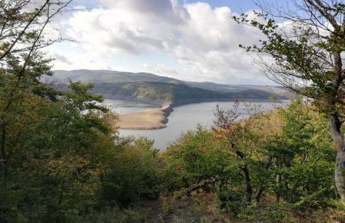 Dreimal Seeblick - Foto 11