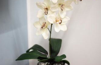 Filo Apartment - Foto 41