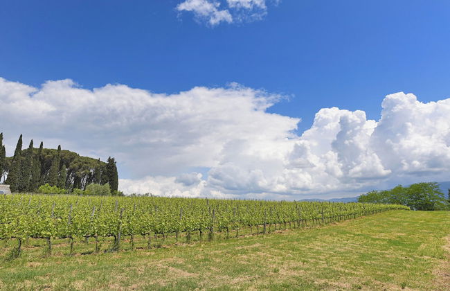 Tuscan Home Panoramic Hills Terrace - Foto 14