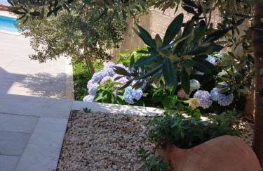Oliva Apartments 1 Lozica - Foto 45