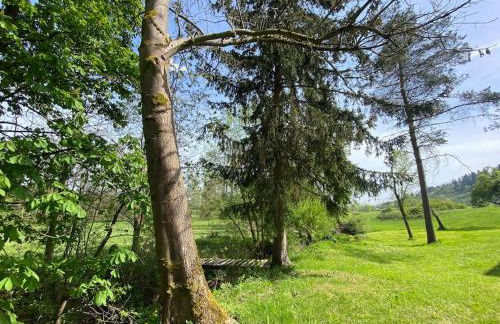 Ferien-und Monteurwohnung 'Friedersdorfer Mühle' - Foto 33