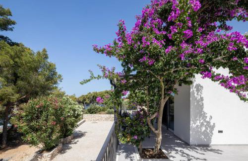 Villa Mala Smišna Poolside Paradise by the Sea - Photo 11