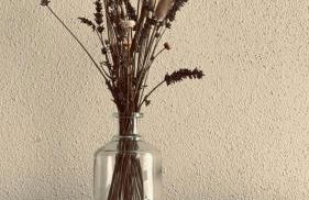 Casa vacanze La Villetta tra Cinque Terre e Versilia - Foto 15