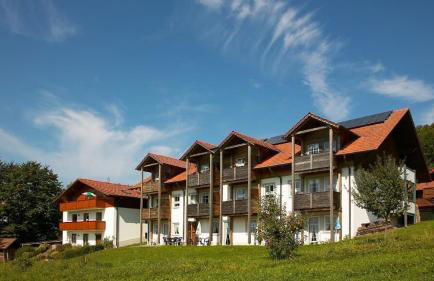 Gasthof Zum Wirt Ferienwohnung Hohenbogenblick - Foto 1