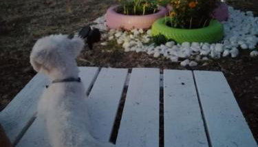 Ήσυχη μονοκατοικία κοντά στη θάλασσα!!! - Foto 3