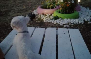 Ήσυχη μονοκατοικία κοντά στη θάλασσα!!! - Photo 3