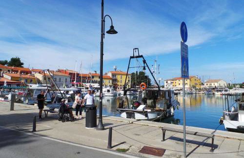 Apartment Pridraga 1 - Photo 4