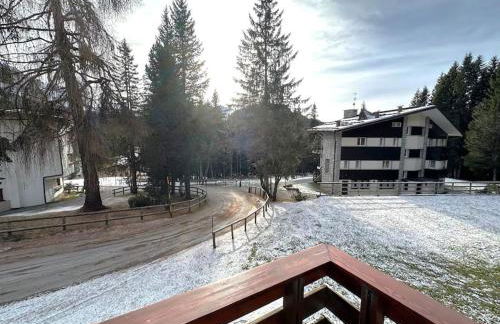 Quadrilocale Alpe Grostè - Serafini - Foto 5