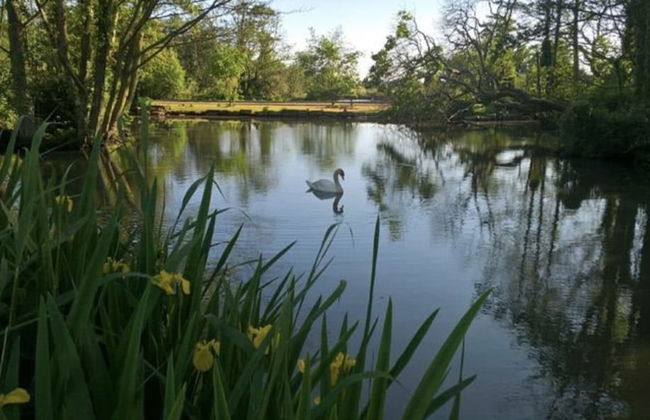 Spacious Two Bed Apartment in Poole - Foto 15