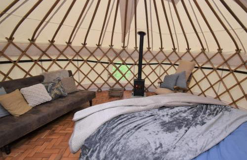 1 Bed in Rhydowen 85415 - Photo 9