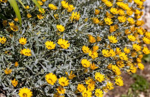 Villa Simici quiet peaceful place with pool perfect to enjoy the nature - Foto 53