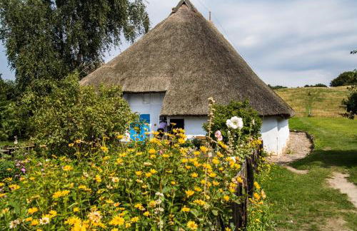 Apartment in Sehlen - Insel Rügen 3067 - Foto 23