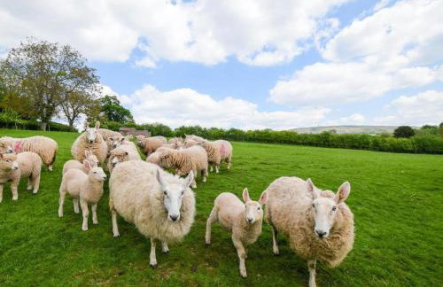 2 Bed in Craven Arms oc-96046 - Foto 23