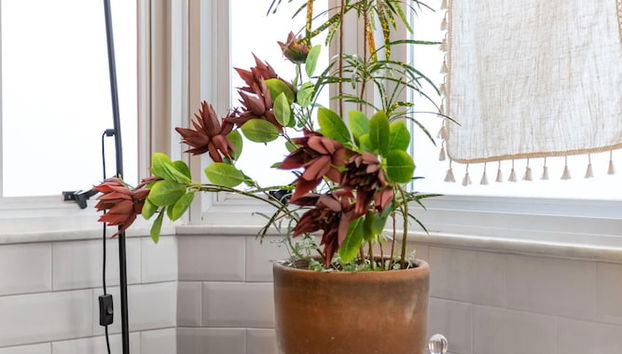 7 Minutes From Ipanema Beach Bt302 - Foto 2, Habitación