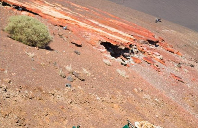 The View in T as With 4 Bedrooms and 4 Bathrooms - Foto 134