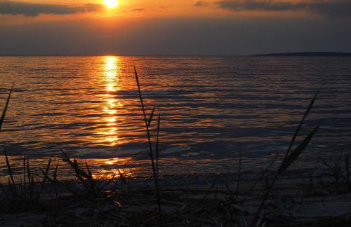 Agroturystyka Pod Orzechem - Foto 31