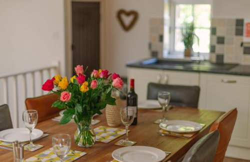 Number One - Ukc4963 - Foto 11