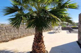 Villa Little Star - Foto 39