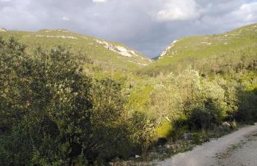 Quinta de São João - Foto 63