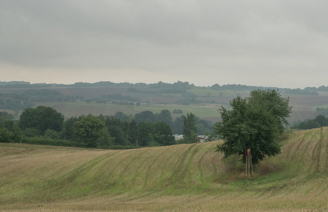 Luxurious Bungalow in Neustadt Harz With Private Terrace - Foto 42