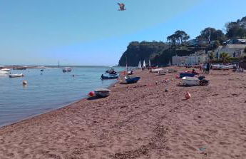 Dolphin Cottage 50m from Shaldon Beach! - Foto 18