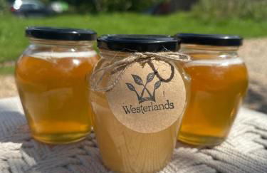 The Annex, Westerlands, Graffham - Foto 35