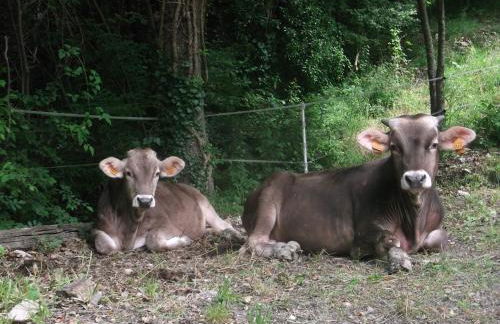 Agriturismo Le Giare - Photo 26