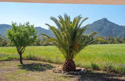 Elisabeth's House - Foto 40