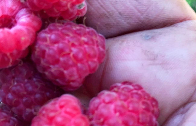 6 Person Holiday Home in Asenfjord-by Traum - Photo 22