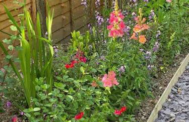 Allt Lwyd - Peaceful & Tranquil Setting - Photo 48