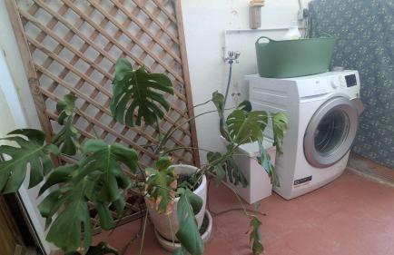 Centric apartment 100m from the beach - Photo 32