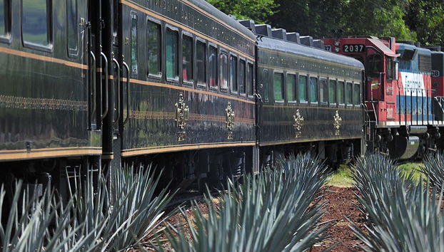 Tour to Tequila + Jose Cuervo Express Train & Mariachi Show