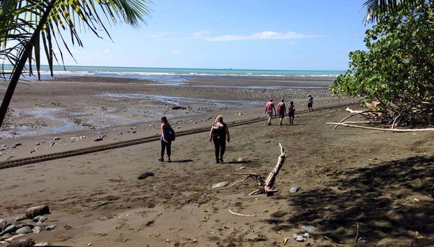 Senderismo por el Parque Nacional Corcovado
