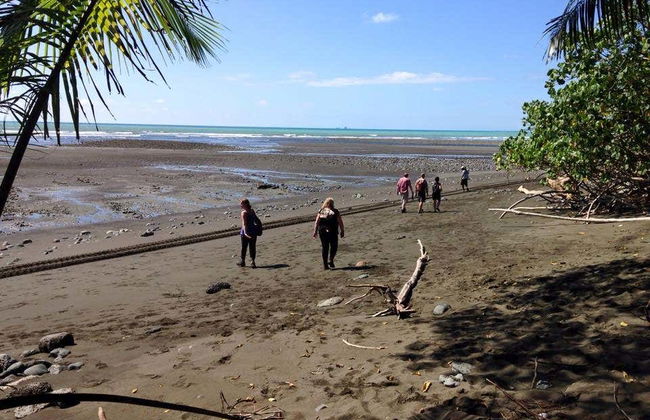 Excursión al Parque Nacional Corcovado - Foto 5