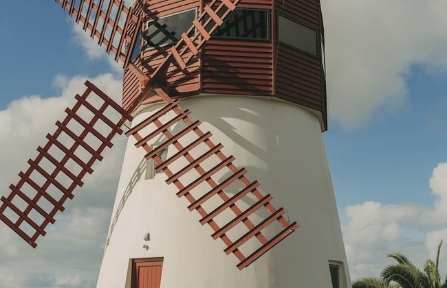 Moinho das Feteiras - Foto 12