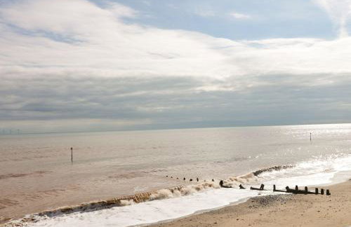 Daisy Nook - Foto 23