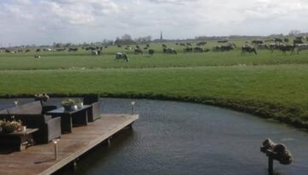 Terrenos do alojamento