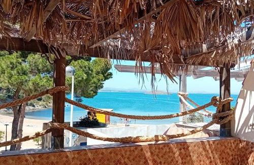 Cala del Pino - Foto 11