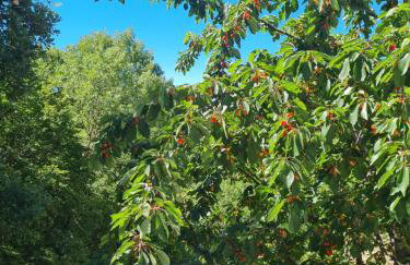 Villa Sokol with tennis court, heating pool, gym and sauna - Foto 54