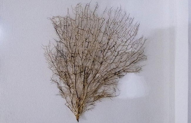 Sagma Villas - Photo 41