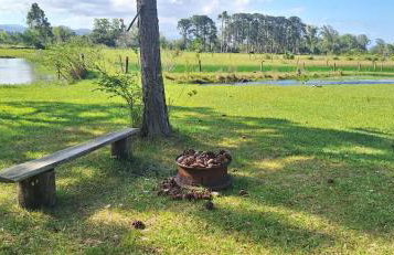 Cabana Cristal ll Campestre Em Sítio ll Wi-Fi 305Mpbs l Nômade Digital ll Táxi Fácil II Fogão Peq ll Quiosque Churrasqueira ll 6km da Estrada do Mar ll 8,1Km Prefeitura II 7,2Km UFRGS Litoral II 7km IF Osorio l 12km-Morro Borrusia e Praias Tramandai - Foto 14