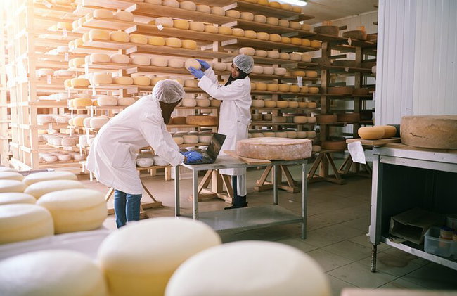 Tres días en Bolonia - Foto 11