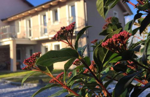 Happy hill - appartamento Quercia - natura e relax - Foto 37