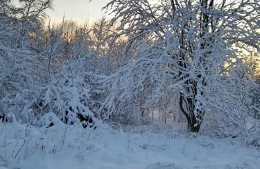 Haus Konthé, appartement - Photo 71