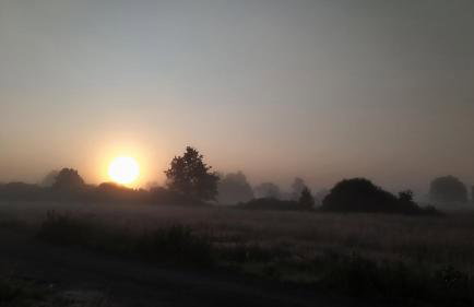 Słowińskie Widoki domki Flora, Fauna, noclegi Smołdziński Las - Foto 52