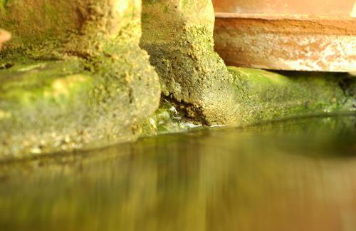 Casa dos Arrábidos - Foto 144