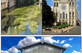 Le p'tit Beauce au Cœur de Chartres - Foto 17