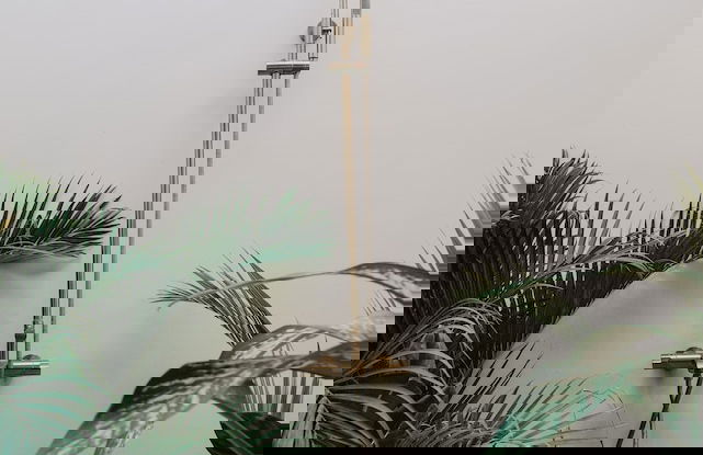 Neptune Studios Lombok - Foto 23