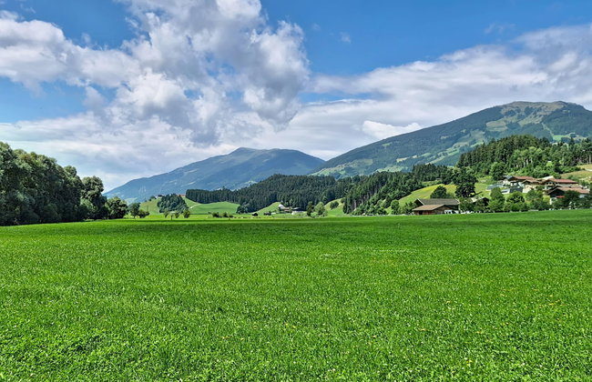 Wieser - Foto 46